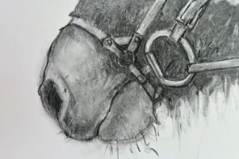 Lambs Hill Home Cards #2 thumbnail