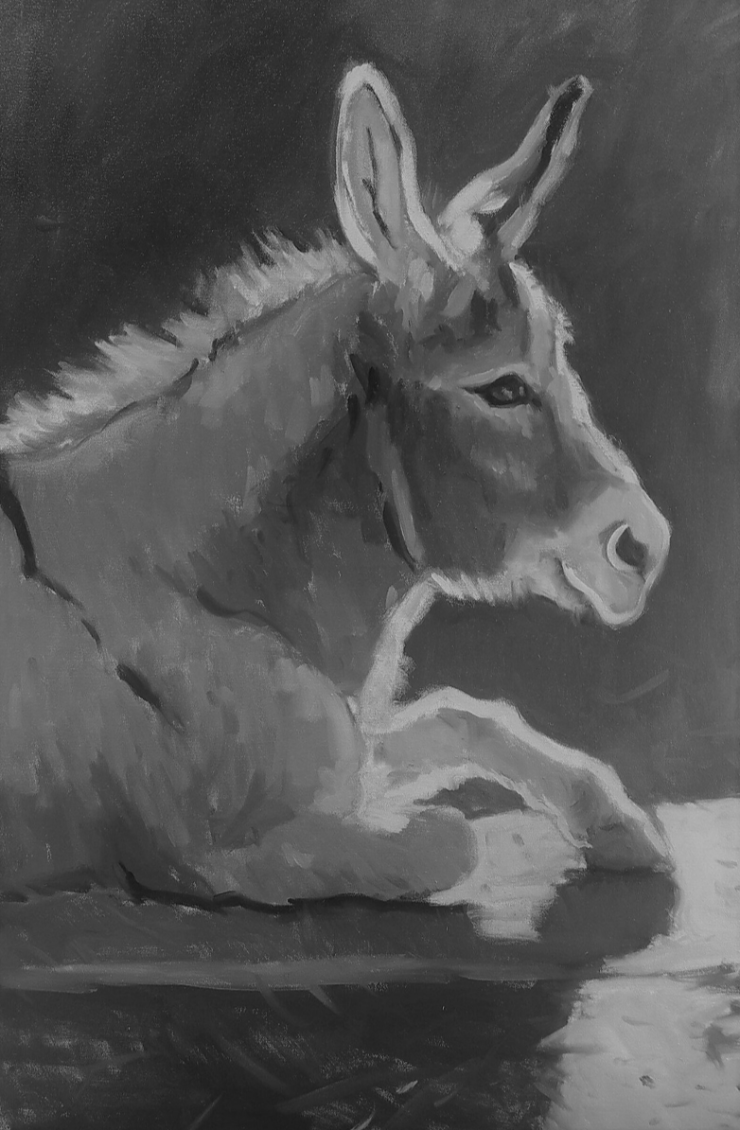 Lambs Hill Home Porgy the Donkey Default Thumbnail Image