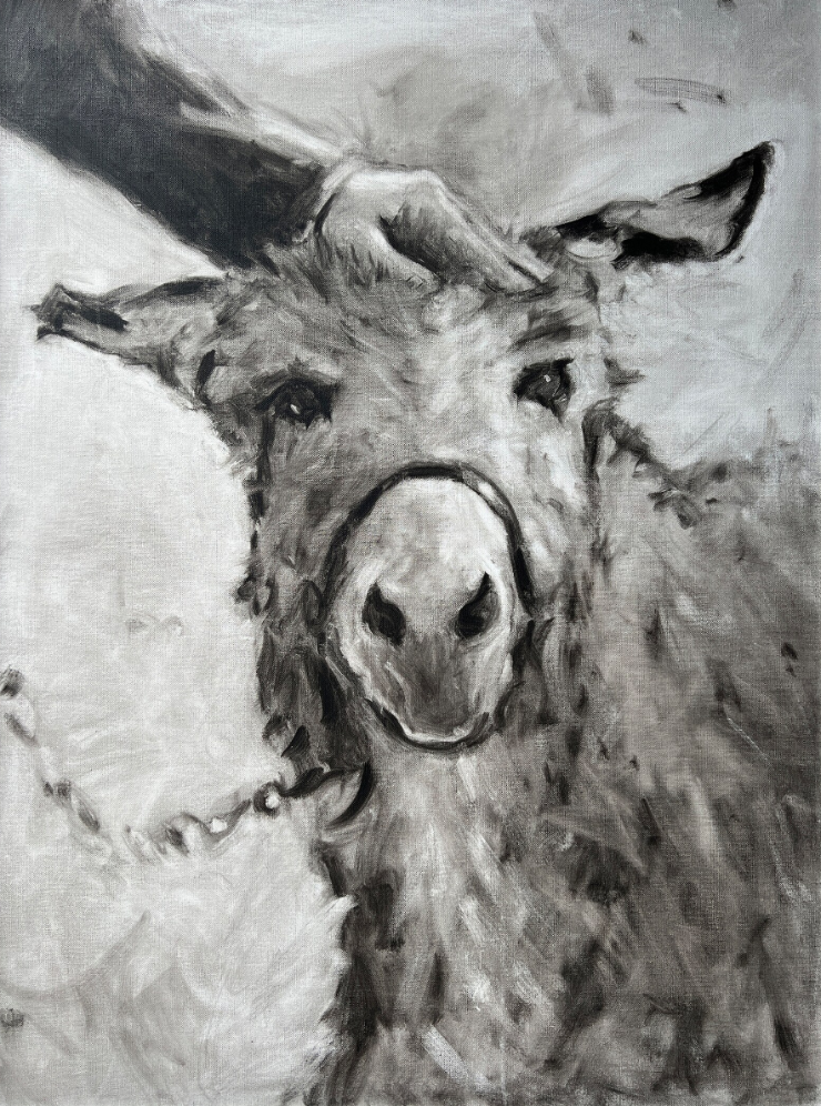 Lambs Hill Home Mini Donkey Portrait Default Thumbnail Image