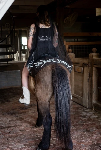 Charlotte Guernsey The Equestrian Noir #2 thumbnail