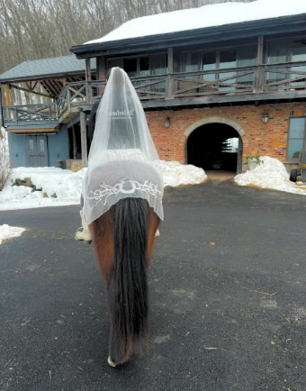 Equestrian Veils The Equestrian Signature with Pearls #3 Ivory thumbnail