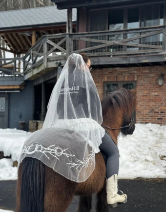 Equestrian Veils The Equestrian Signature with Pearls #1 Ivory thumbnail