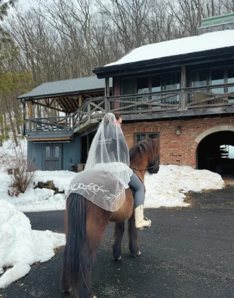 Equestrian Veils The Equestrian Signature with Pearls #2 Ivory thumbnail