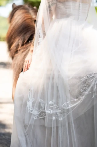 Equestrian Veils Western Bit #2 thumbnail