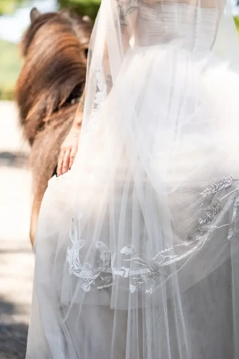 Charlotte Guernsey Western Bit #3 thumbnail