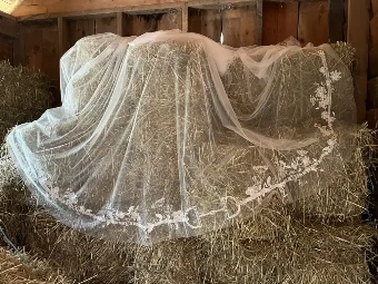 Charlotte Guernsey The English Reins with D Bit #2 thumbnail