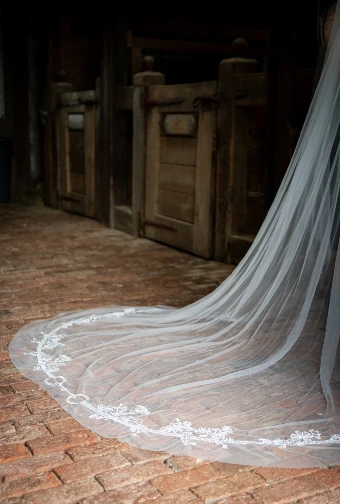 Charlotte Guernsey The English Reins with Snaffle Bit #9 thumbnail