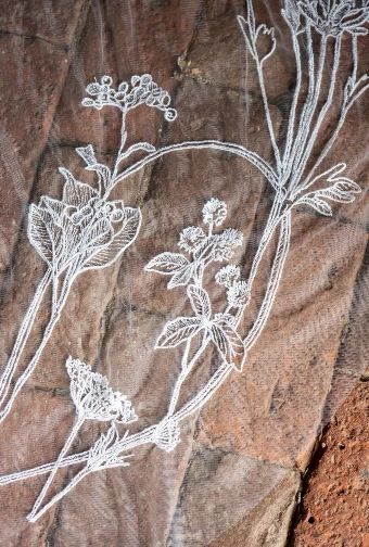 Charlotte Guernsey The Western Show Bit #7 thumbnail