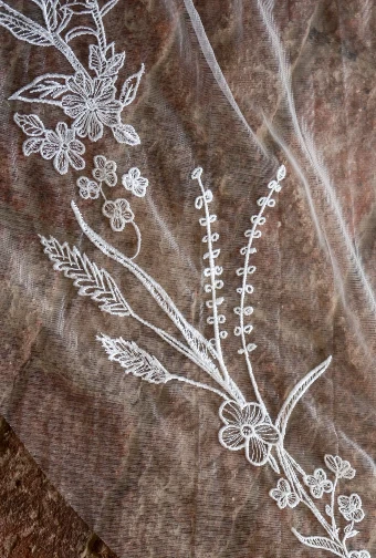 Charlotte Guernsey The Horseshoe #6 thumbnail