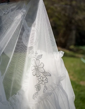 Charlotte Guernsey The English Overskirt #8 thumbnail