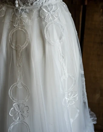 Charlotte Guernsey The English Overskirt #5 thumbnail