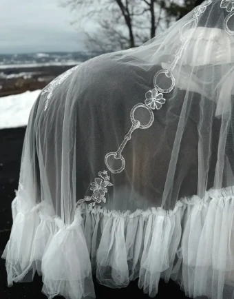 Charlotte Guernsey The English Overskirt #5 thumbnail