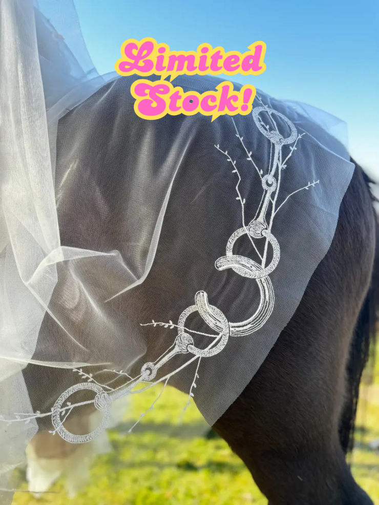 The Original Equestrian Waltz Default Thumbnail Image