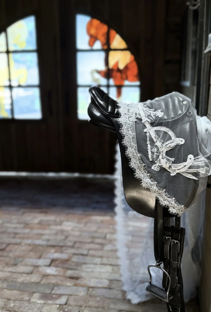 The Western Bit with Lace Default Thumbnail Image