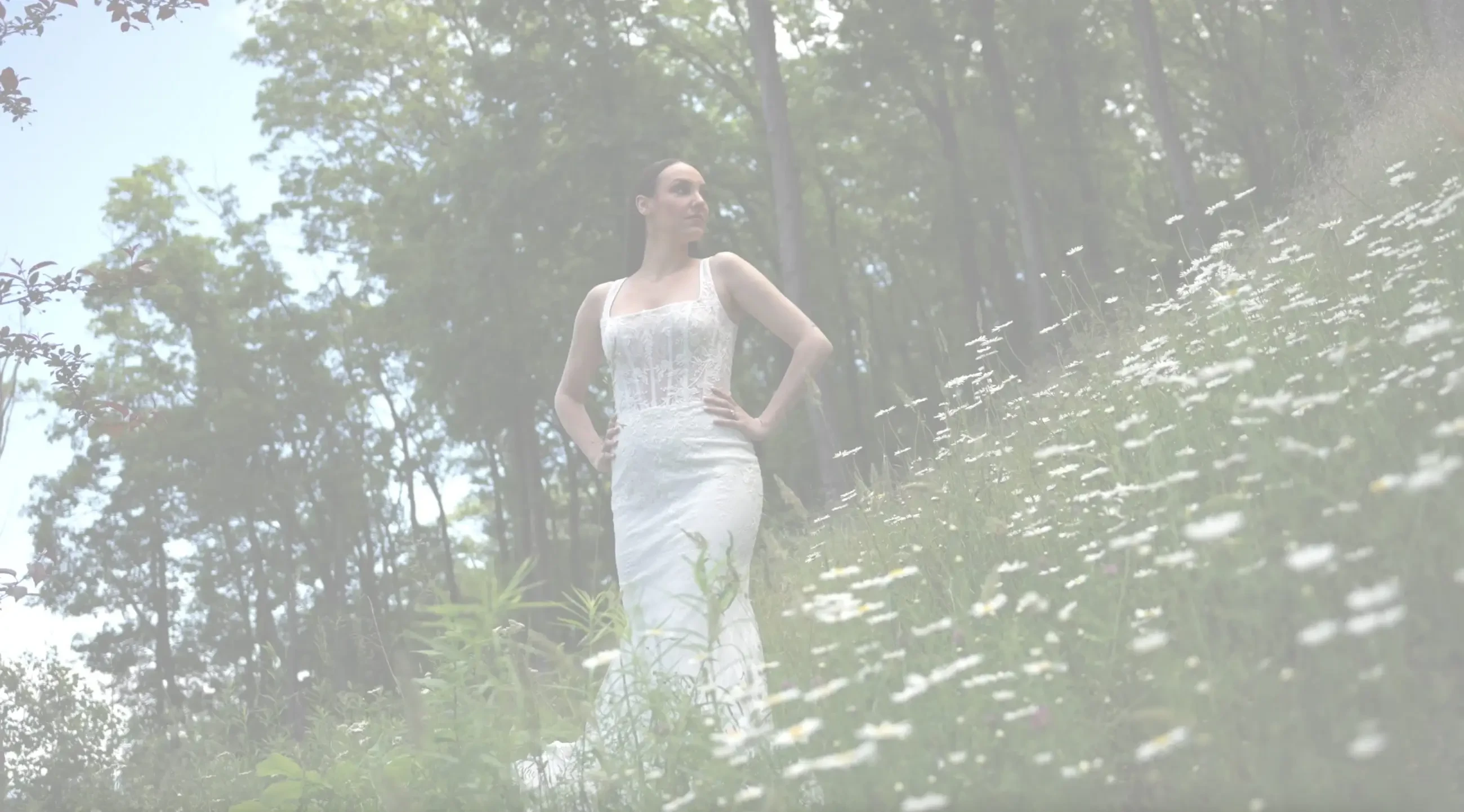 Lambs Hill Collection